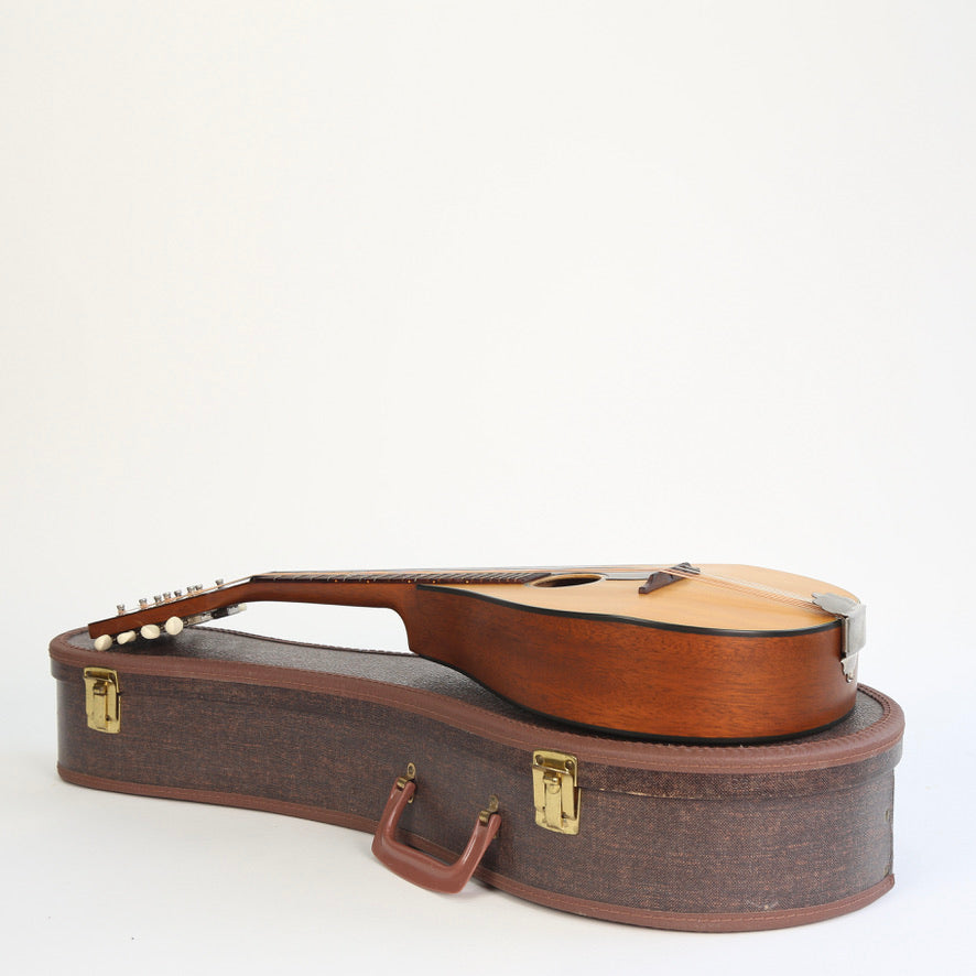 1966 Martin Mandolin