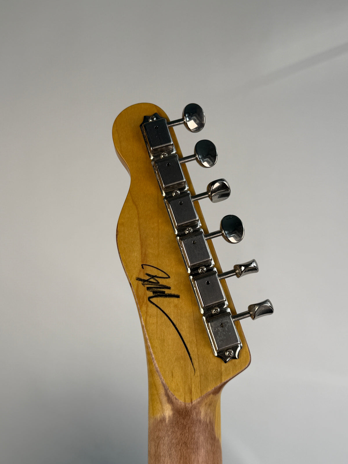 Nash Esquire Blackguard