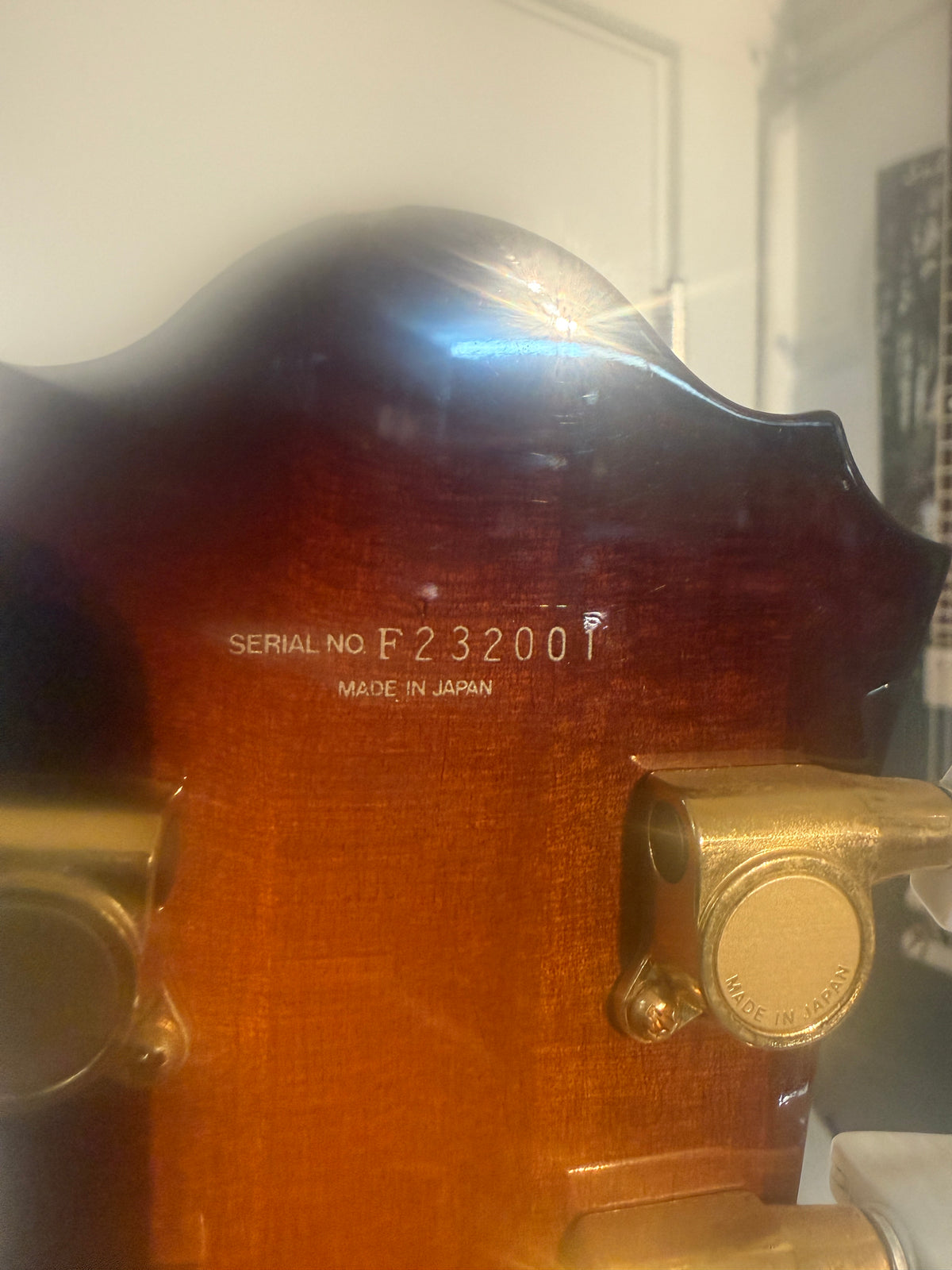 Ibanez MIJ including shipping