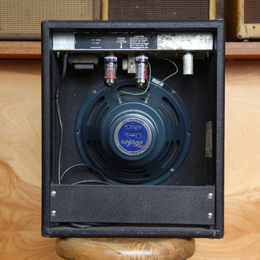 Fender Musicmaster Bass Amp