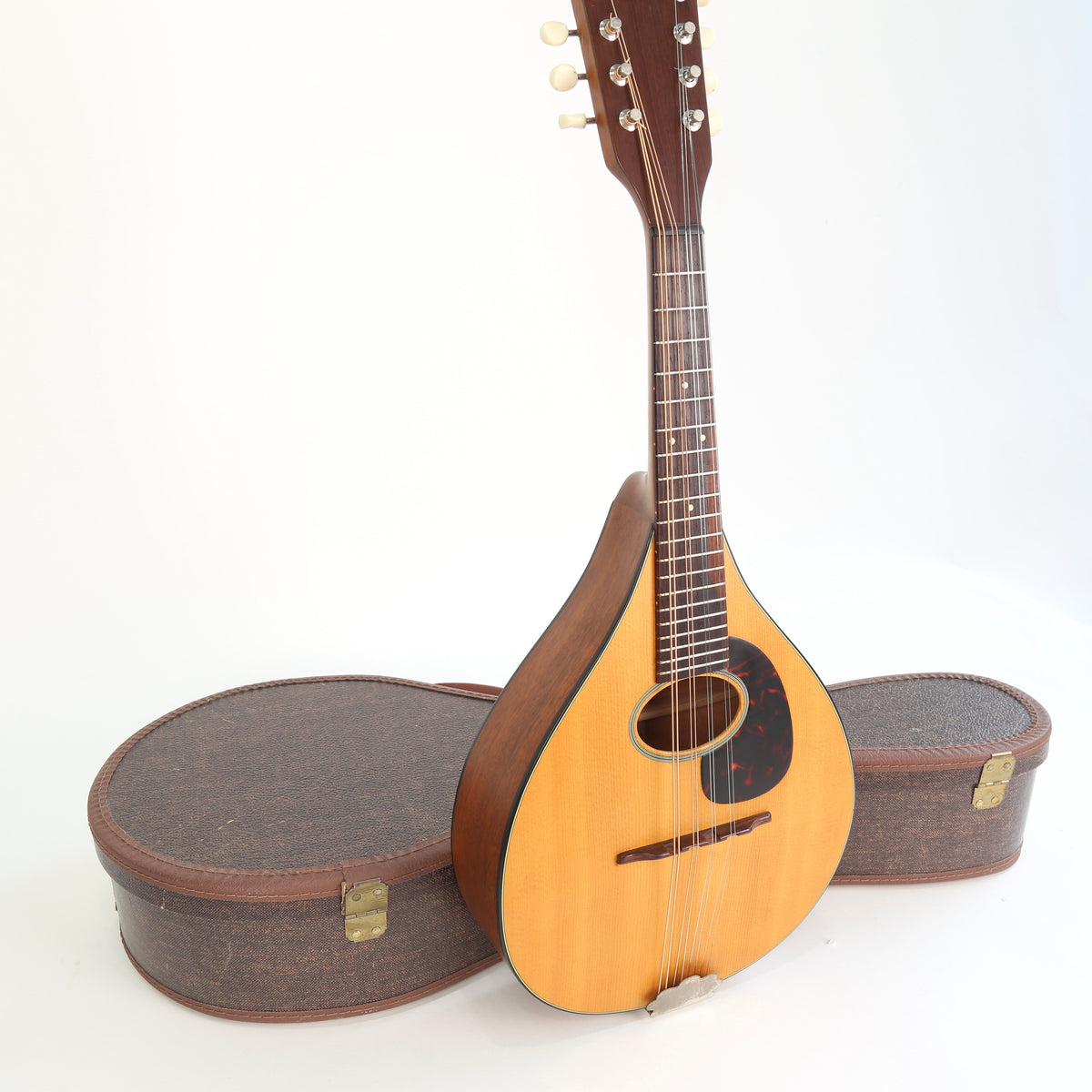 1966 Martin Mandolin
