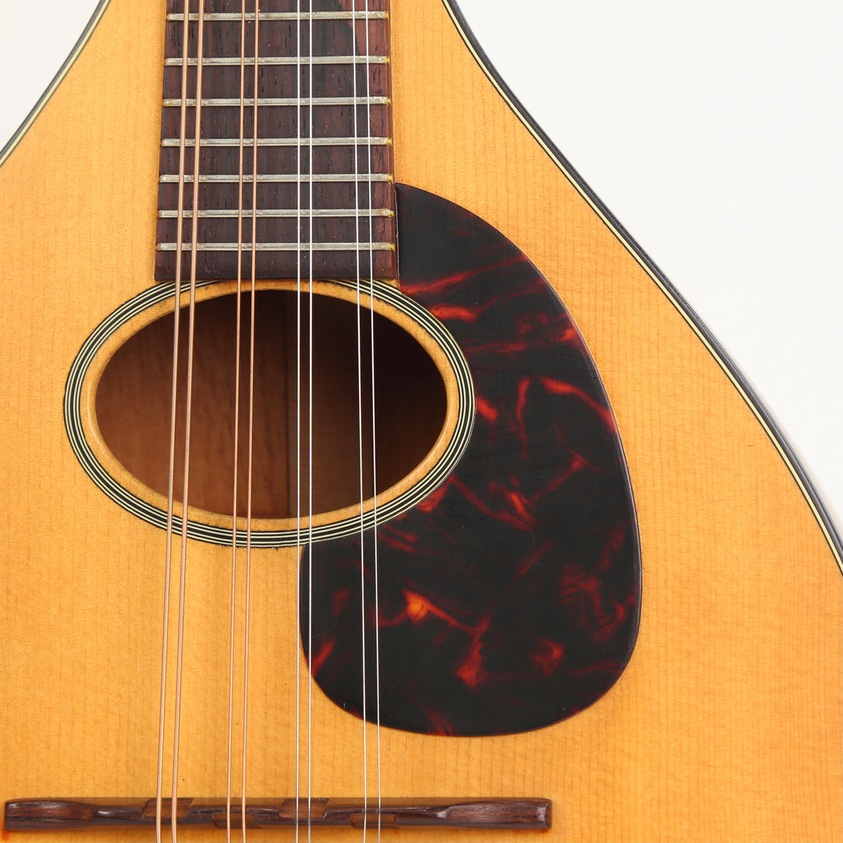 1966 Martin Mandolin