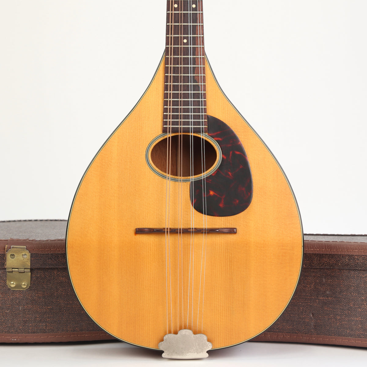 1966 Martin Mandolin