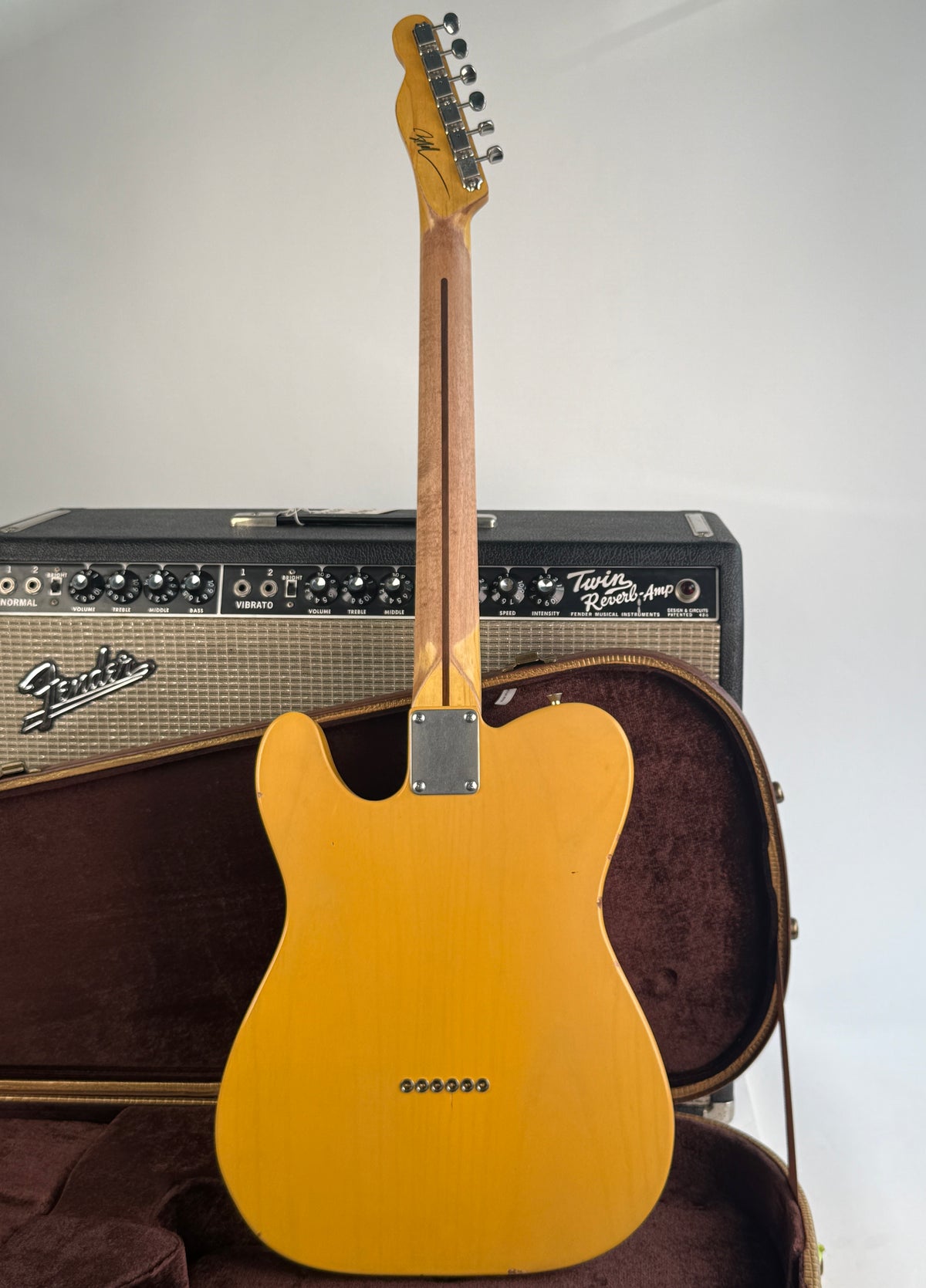 Nash Esquire Blackguard
