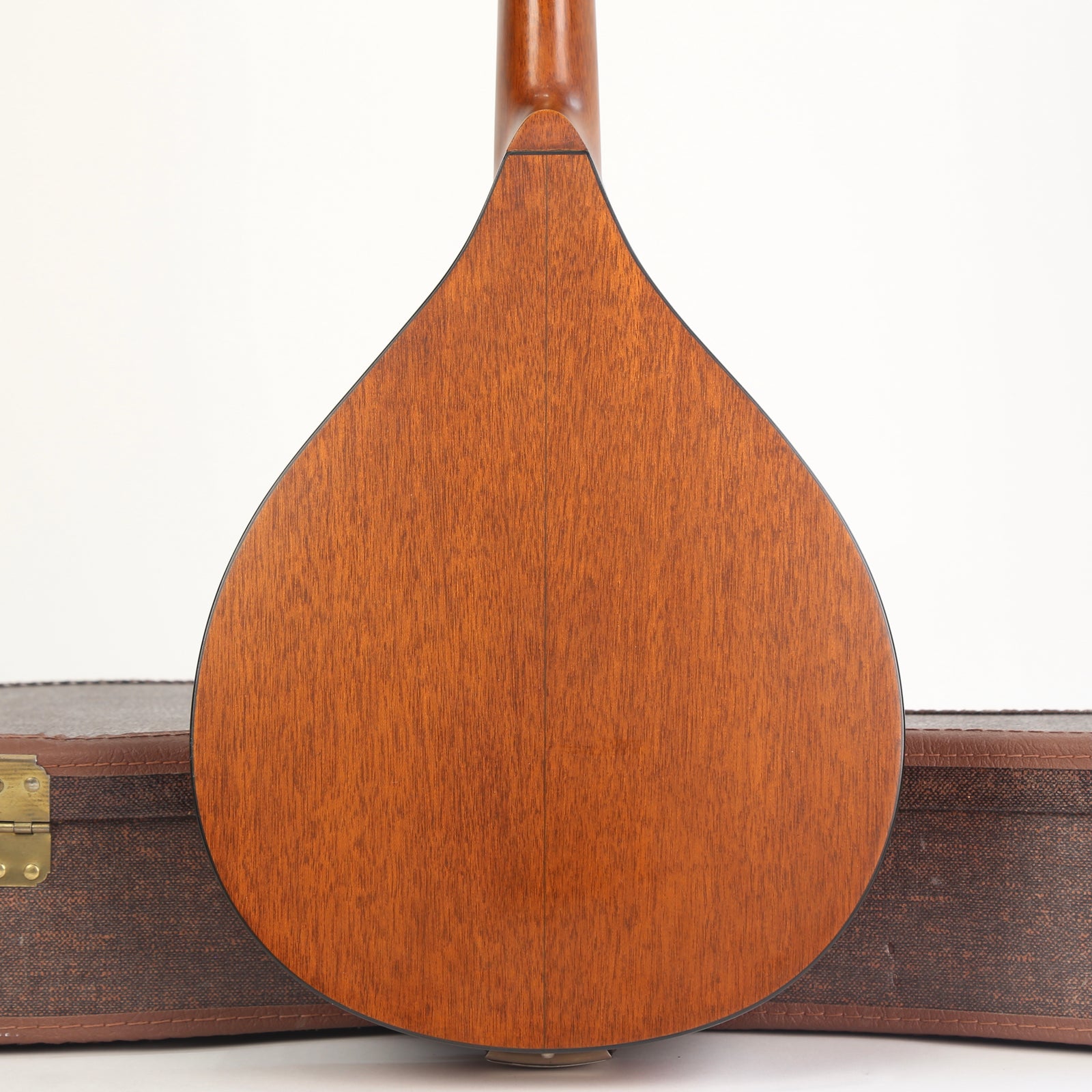 1966 Martin Mandolin