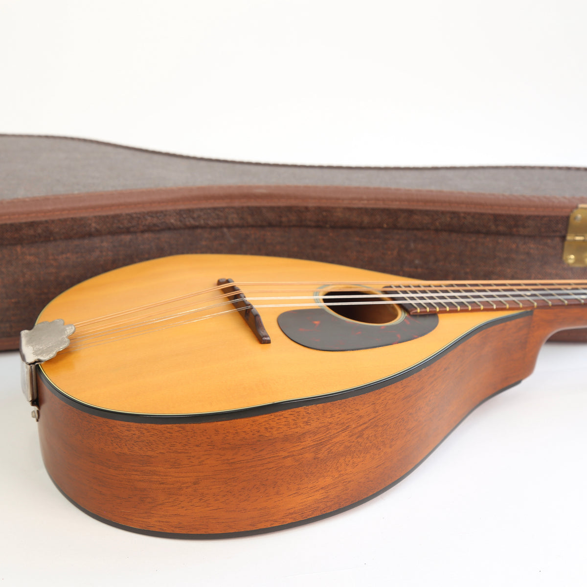 1966 Martin Mandolin