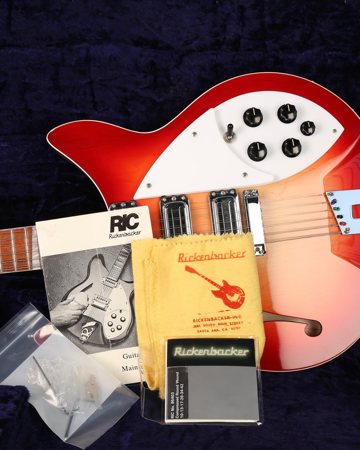 2015 Rickenbacker 1993 Plus 12