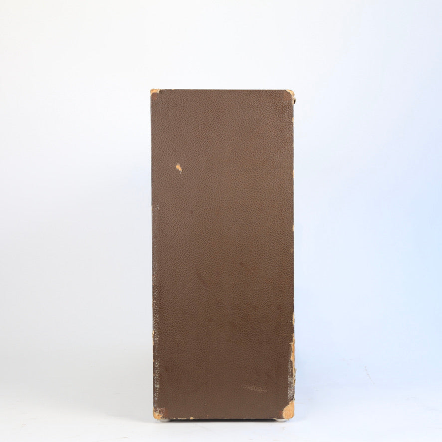 1959 Magnatone Custom 260