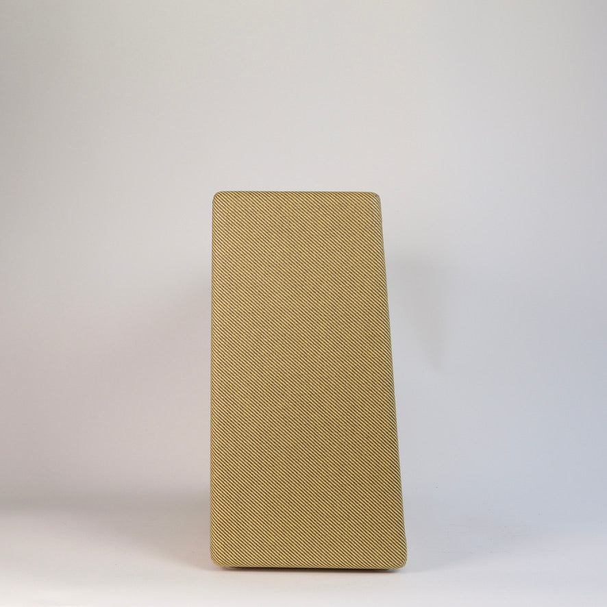 1955 Fender Twin Amp 5E8