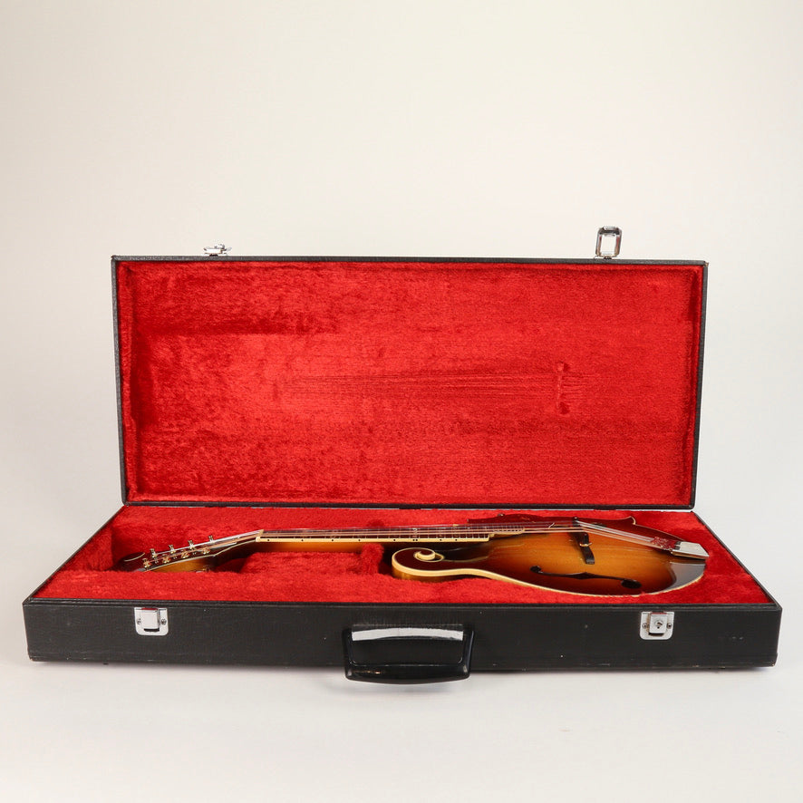 Aria Pro II Mandolin F Style PM 750