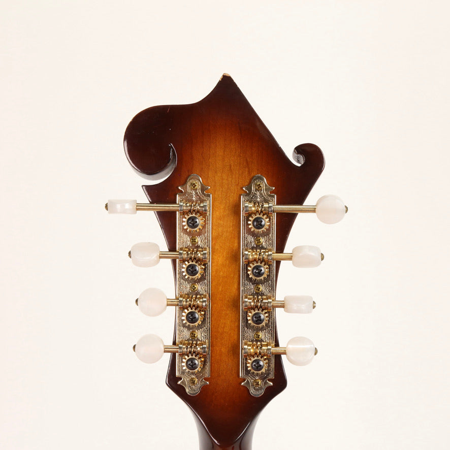 Aria Pro II Mandolin F Style PM 750