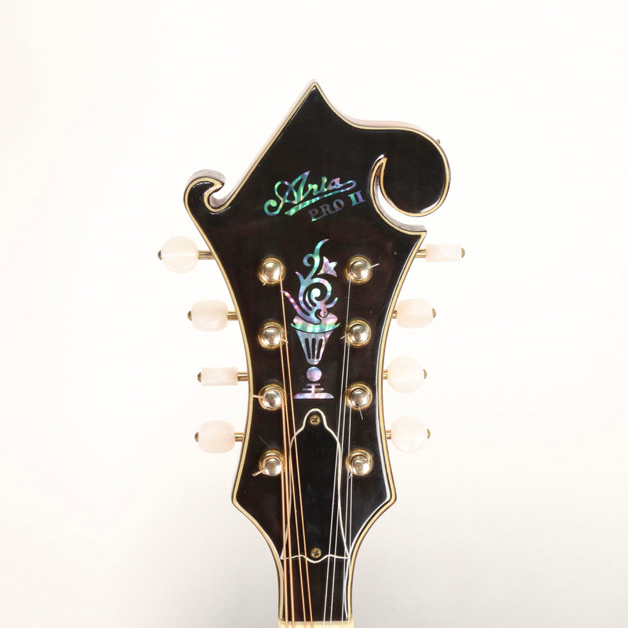 Aria Pro II Mandolin F Style PM 750 - Black Book Guitars