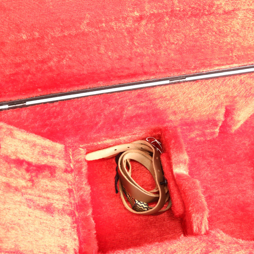 Aria Pro II Mandolin F Style PM 750