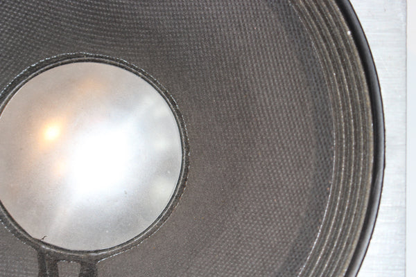 JBL E110-8 - Black Book Guitars